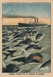 Un banco di balene attacca un transatlantico, illustrazione di copertina da 